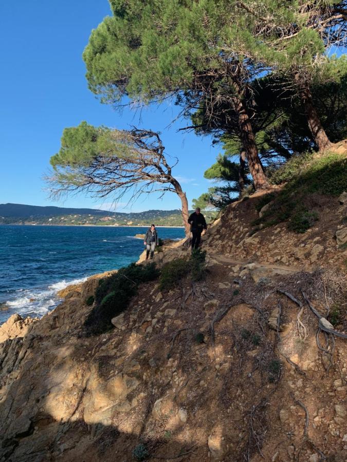 L'aile du Chateau Ramatuelle Dış mekan fotoğraf